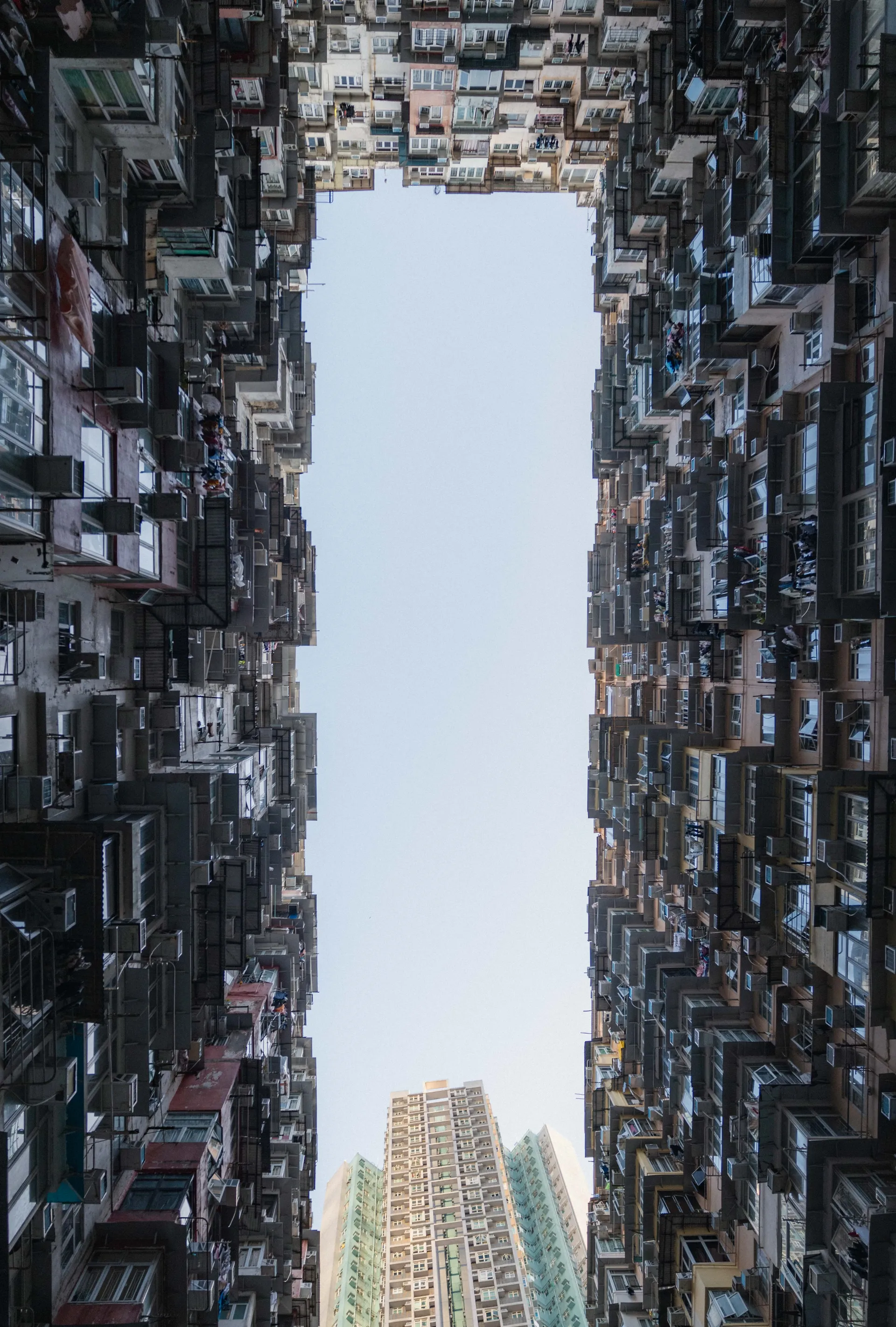 2I3A7118.JPG