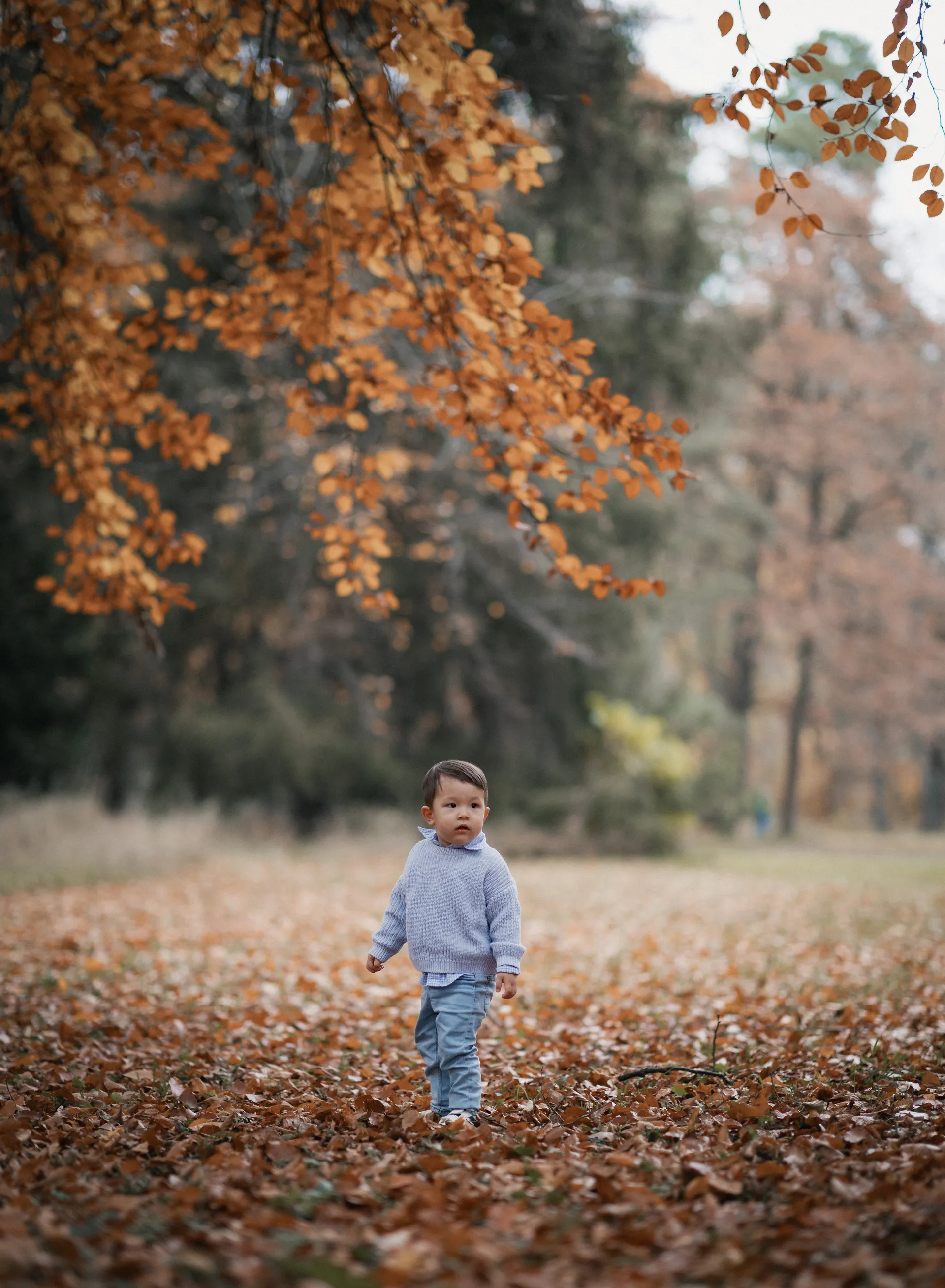 liam-11.jpg