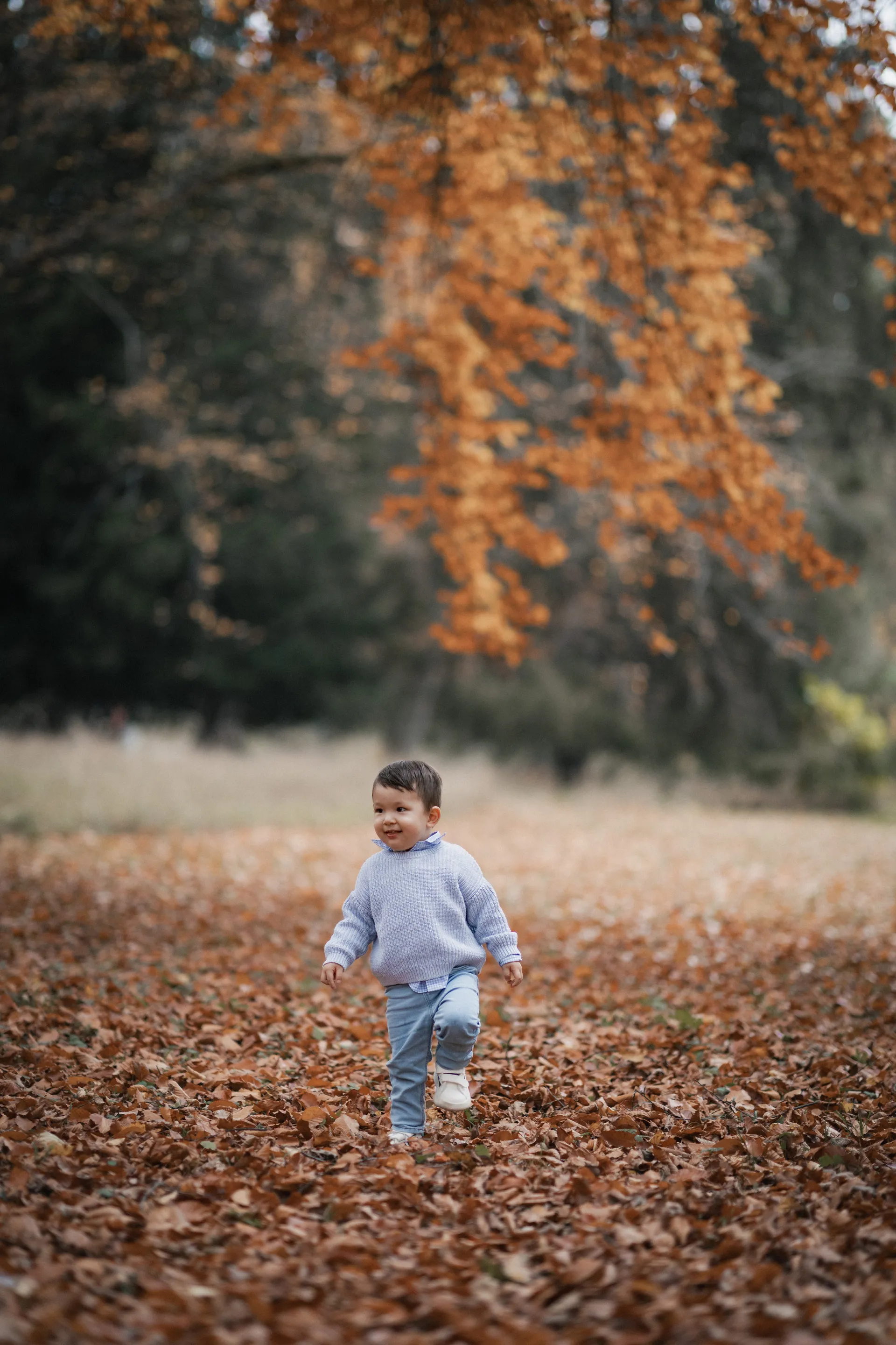 liam-14.jpg